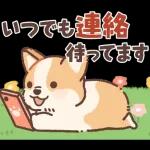 Pop-Up! Corgi's Spring Reply Sticker
