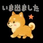 柴犬いっぱい♡豆しば♡秋＆冬