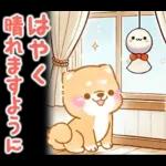 雨、梅雨、夏に使う❤️いやしばいぬ❤️柴犬