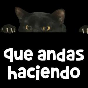 que andas haciendo - getsticker.com