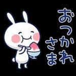 毎日使える夏☆ほぼ白うさぎ