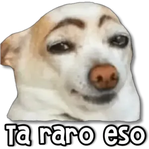 pt8jf9e