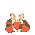 飛び出す！コギたんの春のお返事スタンプ