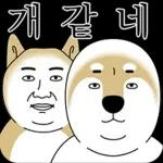 오늘의 짤 #박짤대소