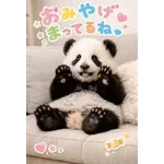 飛び出す♡パンダの家族連絡