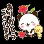 パンダ＆ひよこ 梅雨・夏