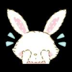 ウィッシュミーメル　毎日いっしょ♪