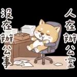 柴犬可愛諧音梗