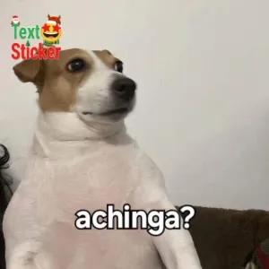 achinga? - getsticker.com