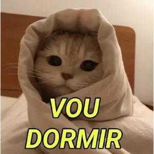 VOU DORMIR - getsticker.com