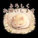 大人可愛い❤️毎日スタンプ