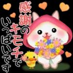 森の赤ずきんうさっぴ 「秋から冬」