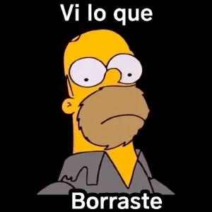 Vi lo que Borraste - getsticker.com