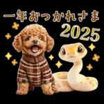 午年2026年！プードルとうまの年末年始