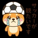 深夜観戦おつかれさま