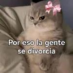 This is a photo of a dog pointing its finger.