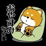 飛び出す！豆柴「野球と日常」