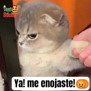Ya! me enojaste! - getsticker.com