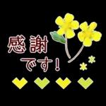 new year2023.12resale