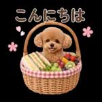 春♡とってもかわいいトイプードル