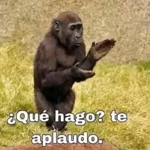 ¿Qué hago? te aplaudo. - getsticker.com