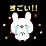 連絡白うさちゃん