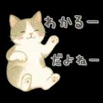 猫がいっぱい♡ふんわり可愛い秋＆冬