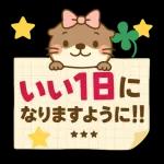 ラッコのほのぼの日常便