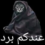 مفاجأة