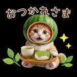 毎日使えるねこあいさつ