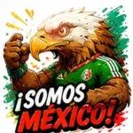 Se agregaron nuevos stickers de fútbol