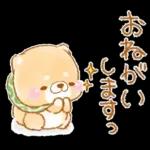 初夏❤️いやしばいぬ❤️16/柴犬