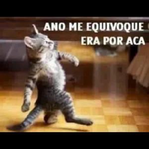 ANO ME EQUIVOQUE ERA POR ACA - getsticker.com