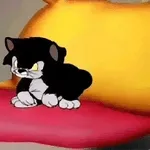 NÃO