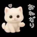 モフモフ白ネコ