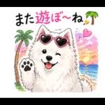 夏ギャルなサモエドスタンプ