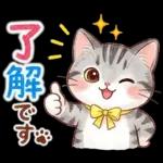 ずっと使える♪猫たちの日常