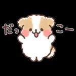 ふわふわシーズー 3歳児