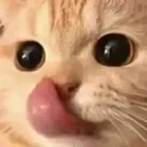 getsticker.com