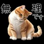 リアルな猫の敬語