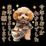 午年2026年！プードルとうまの年末年始