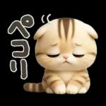 ねこちぃず♡ぐったり涙といたわり