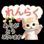 にゃんこ達の❤️気持ちたっぷり長文❤ねこ