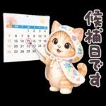 ちびニャンず♡毎日連絡スタンプ