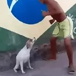 PIX QUE É BOM NINGUÉM MANDA