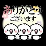 毎日しろちゃん22❤敬語・長文