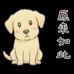 小拉拉 實用日常