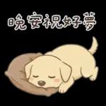 小拉拉 實用日常