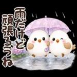 梅雨と夏のやさしい気遣い言葉♡シマエナガ