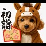 ウマの着ぐるみトイプードル【午年/2026】